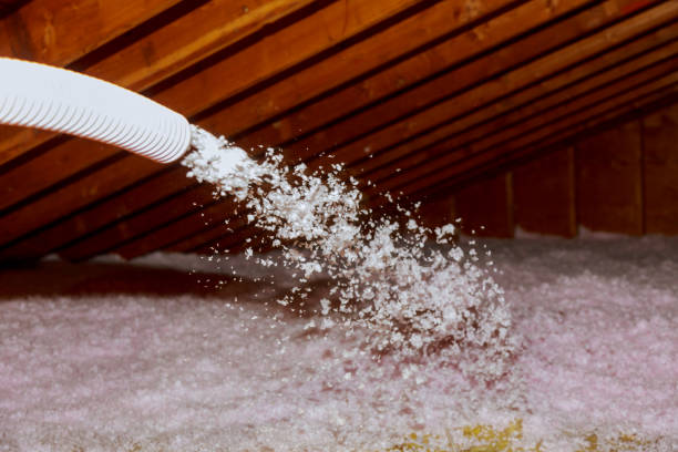 Best Energy Efficiency Solutions in Pecan Plantation, TX
