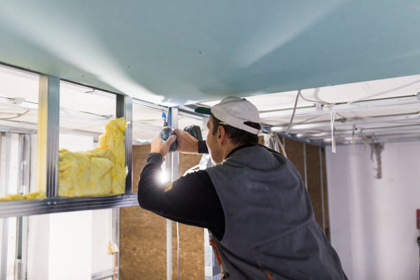 Best Insulation Installation Services in Pecan Plantation, TX