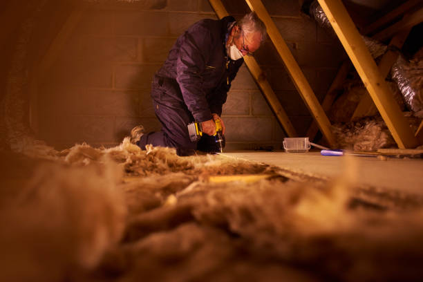 Best Insulation Materials and Products in Pecan Plantation, TX